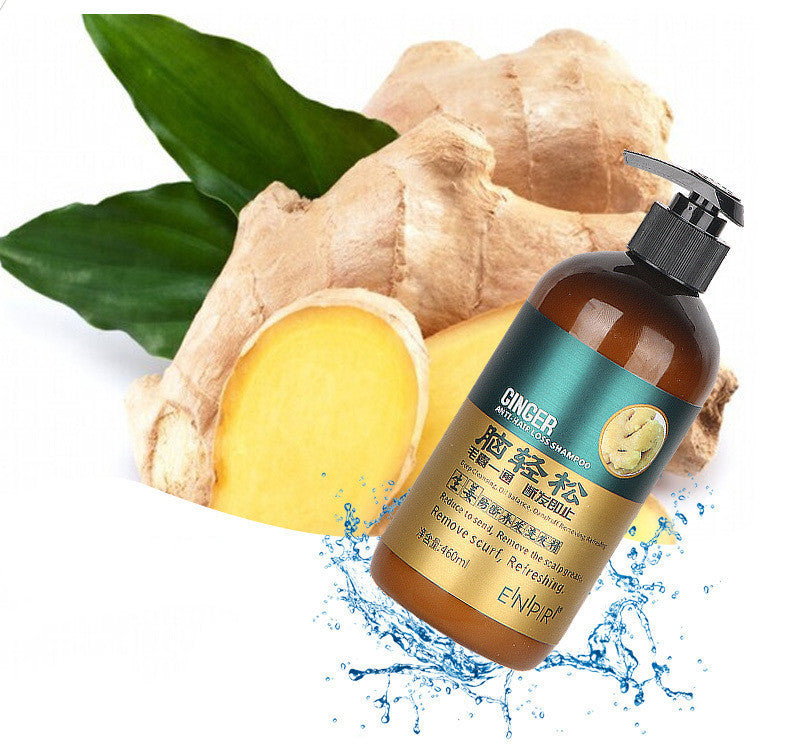 Ingwer Anti-Bruch Shampoo Nutrition Flexible